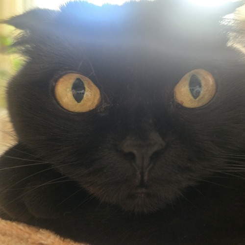 Photo #14039229