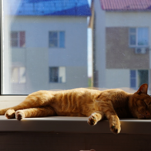 Photo #14039231