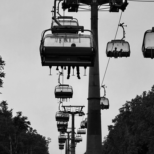 Photo #14039242