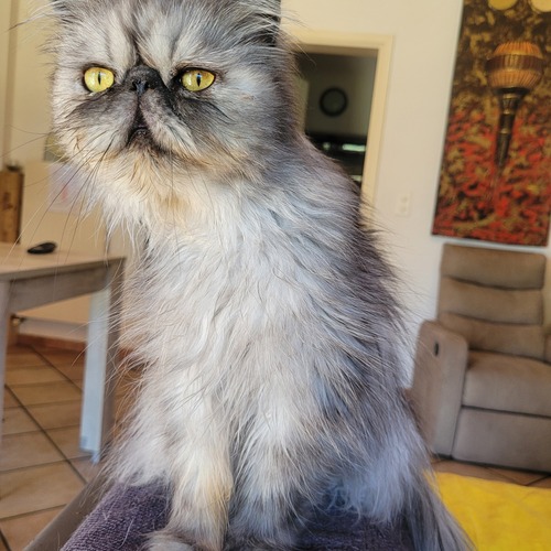 Photo #14039256