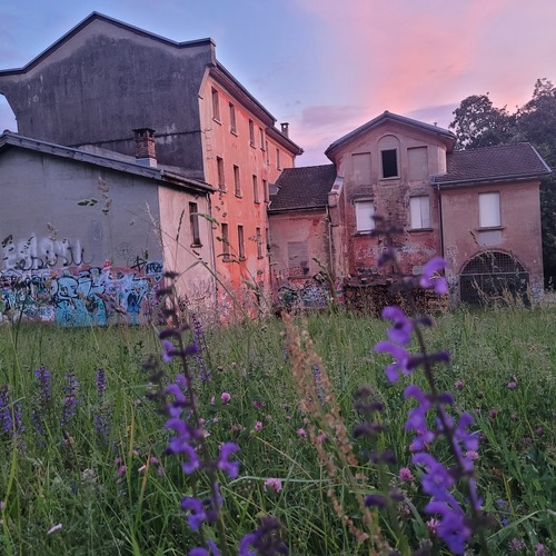 Photo #14039284