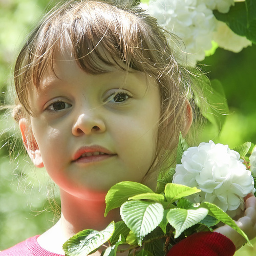 Photo #14039308