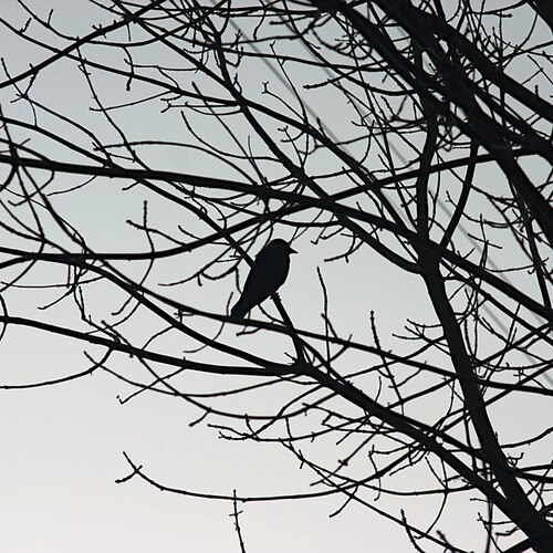 Photo #14039352