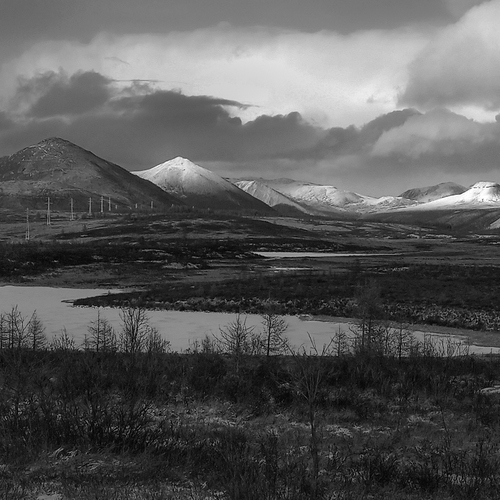 Photo #14039514