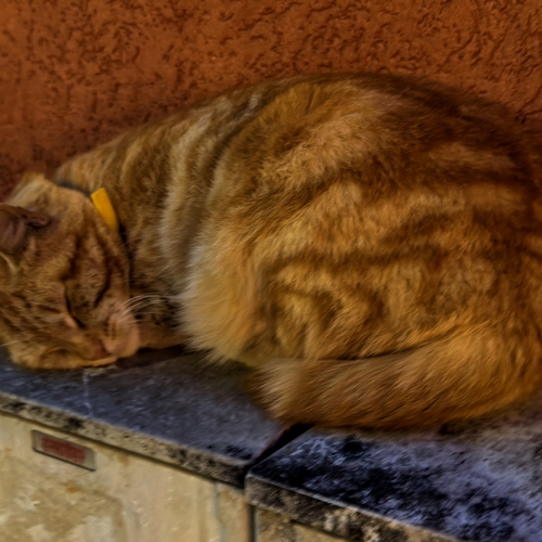 Photo #14039552