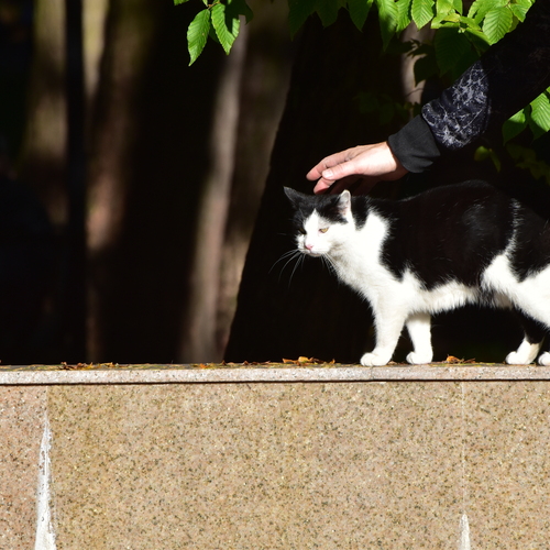 Photo #14039571