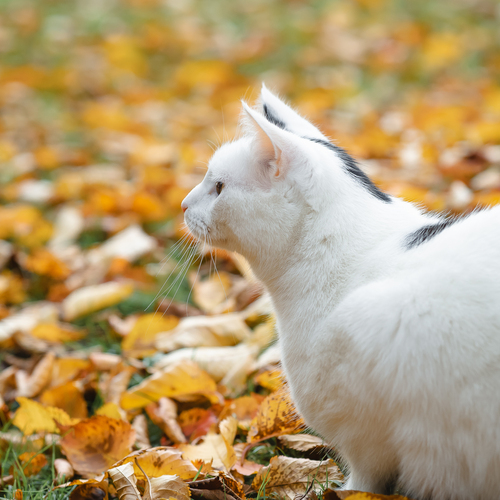 Photo #14039597