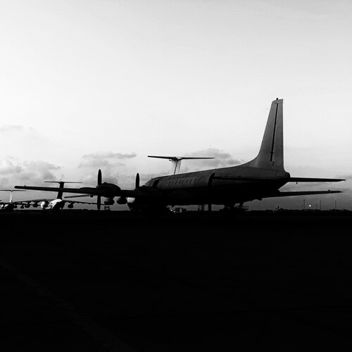 Photo #14039682