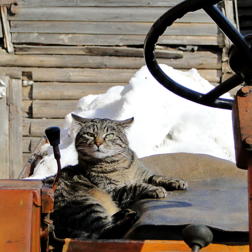 Photo #14039853