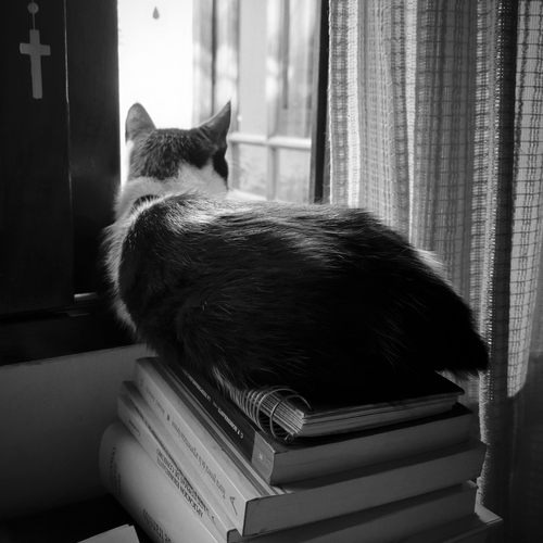 Photo #14039869