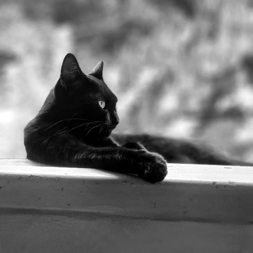 Photo #14039880