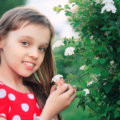 Photo #14039977