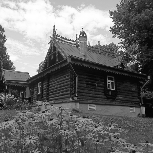 Photo #14039982