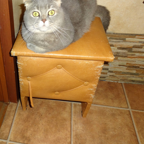 Photo #14039999