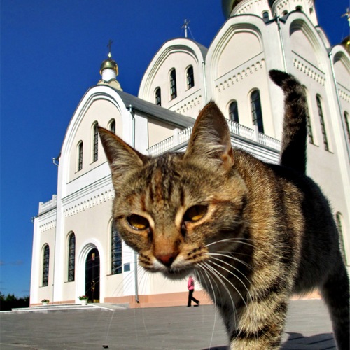Photo #14040043