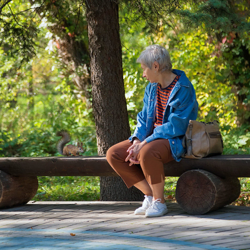 Photo #14040087