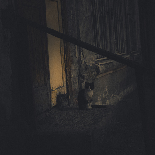 Photo #14040088