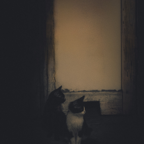 Photo #14040089