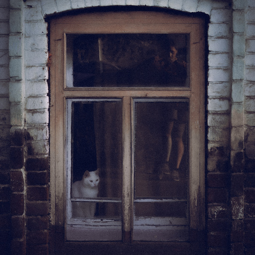 Photo #14040090