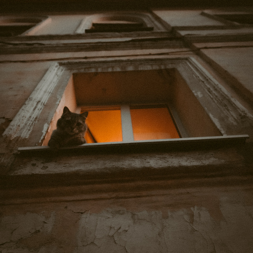 Photo #14040091