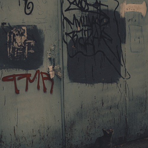 Photo #14040092