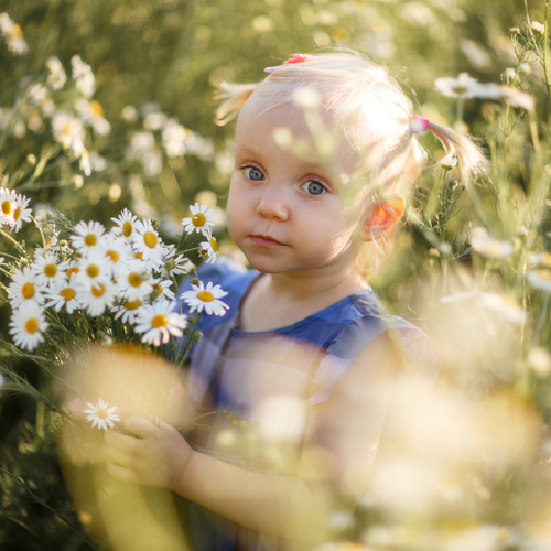 Photo #14040144