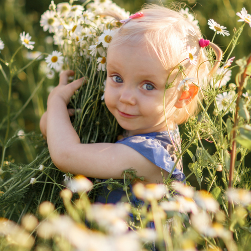 Photo #14040165