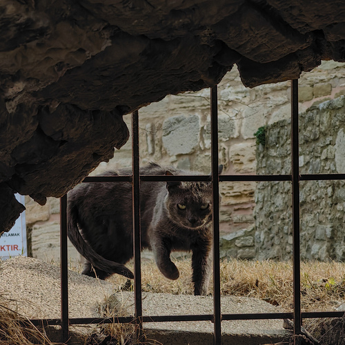 Photo #14040172