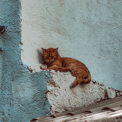 Photo #14040215