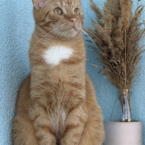 Photo #14040231