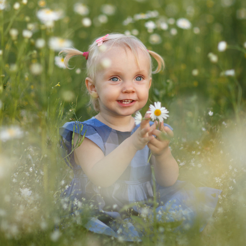 Photo #14040245