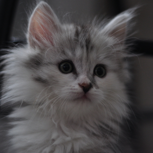 Photo #14040360