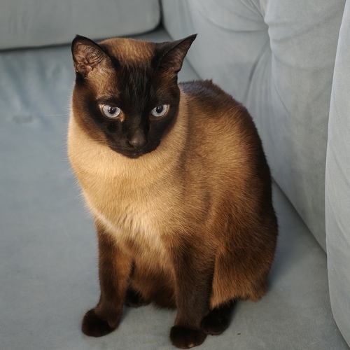 Photo #14040380