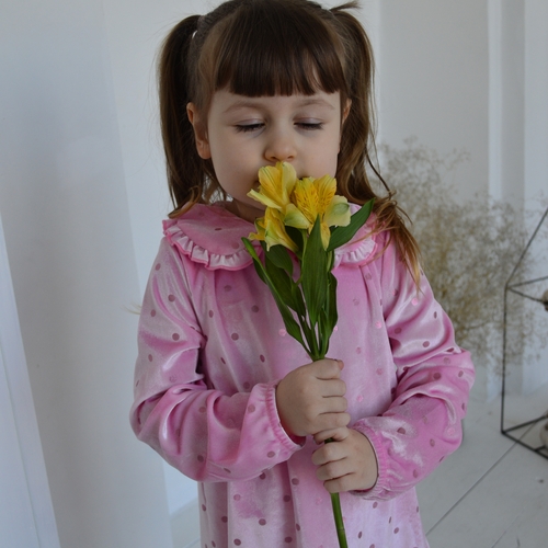 Photo #14040387