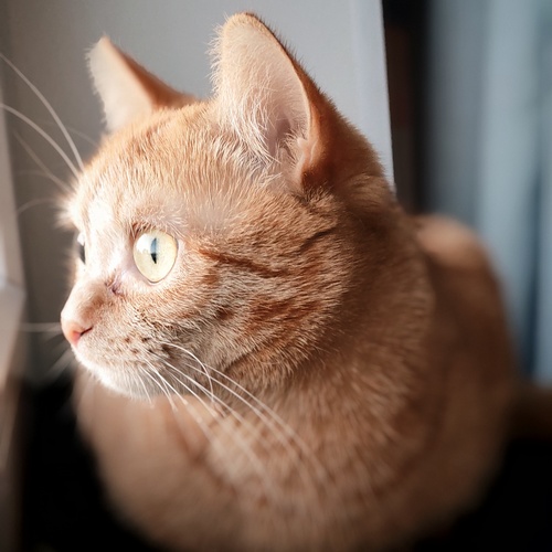 Photo #14040428