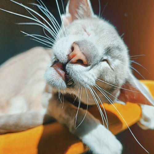 Photo #14040434