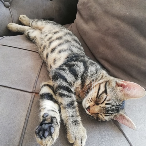 Photo #14040437