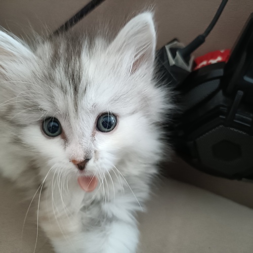Photo #14040440