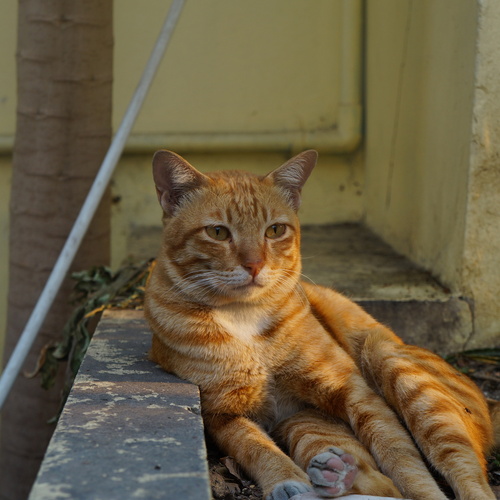 Photo #14040459