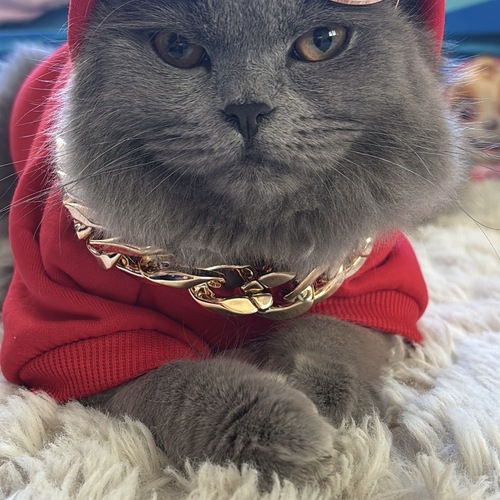 Photo #14040493