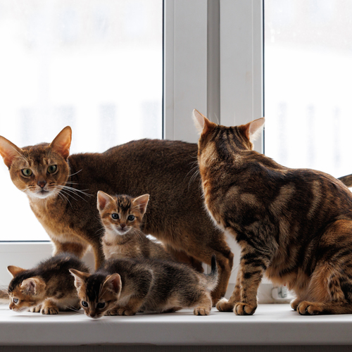 Photo #14040585