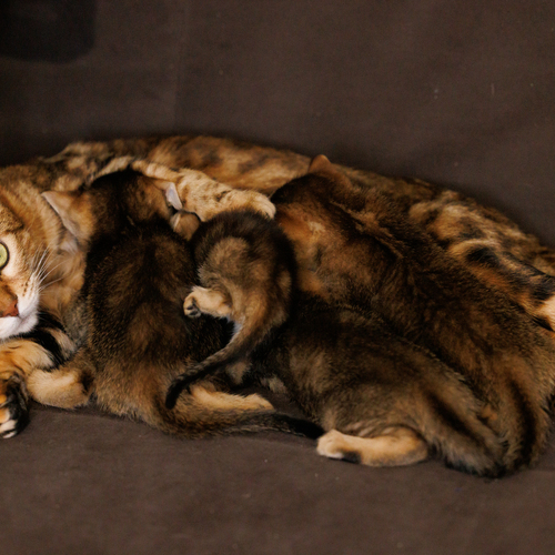 Photo #14040588