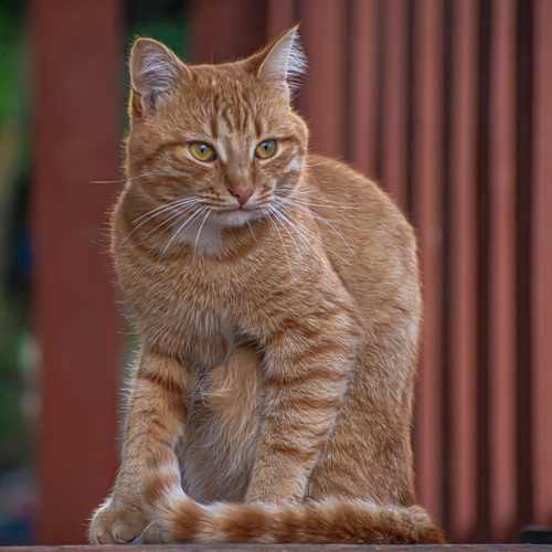 Photo #14040695