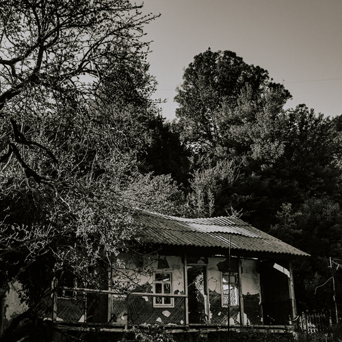 Photo #14040745
