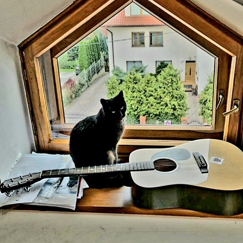 Photo #14040759