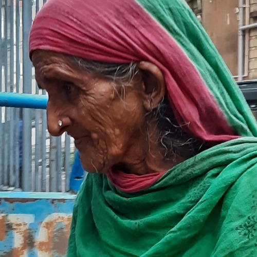 The Old Bohemian