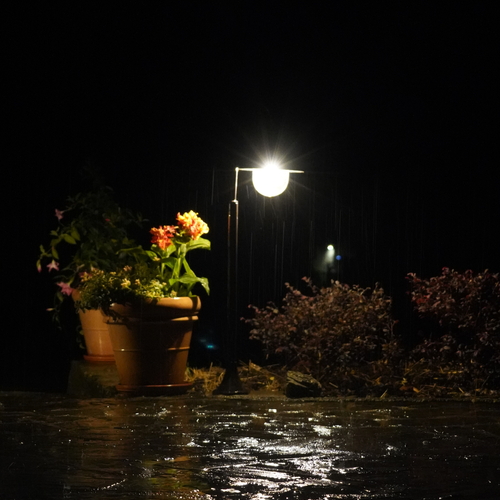 Photo #14040832