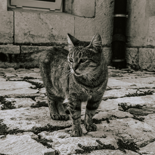 Photo #14040887