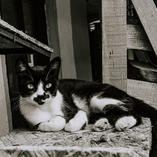 Photo #14040889
