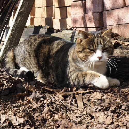 Photo #14040894